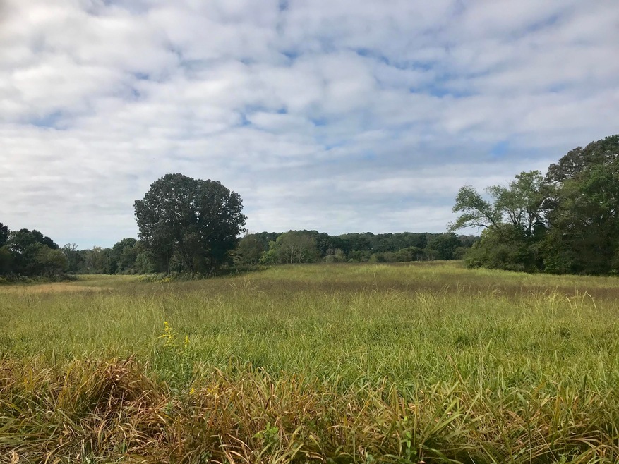 0 W Gordon Pond Rd unit 1288790, Lafayette, GA 30728 - photo 1