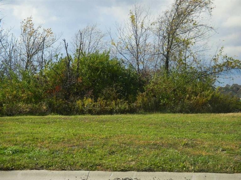 9270 Bigger St, Merrillville, IN 46410 - photo 1