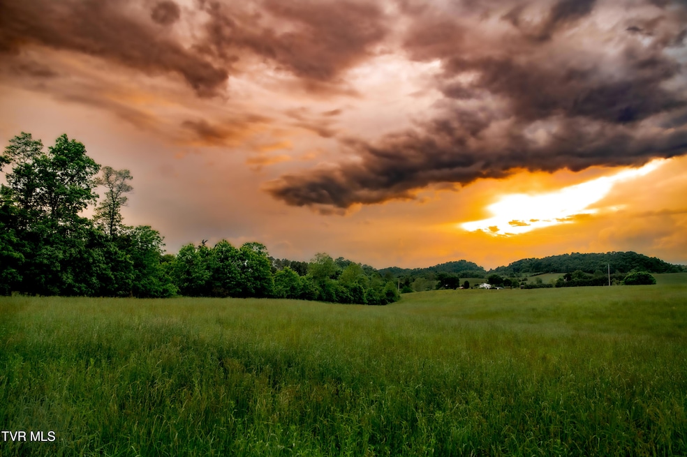 2200 Rd, Limestone, TN 37681 - photo 1