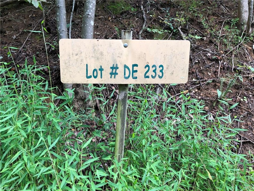 Lot 233 Deer Run, Purlear, NC 28665 - photo 1