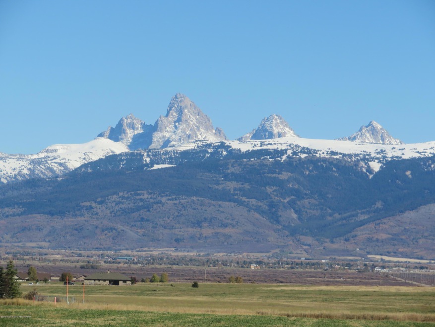 Grand Teton View