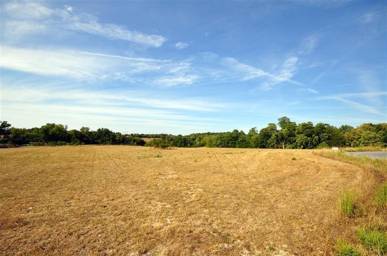 1611 Regency Ln, Union Chapel Township, MO 65714 - photo 1