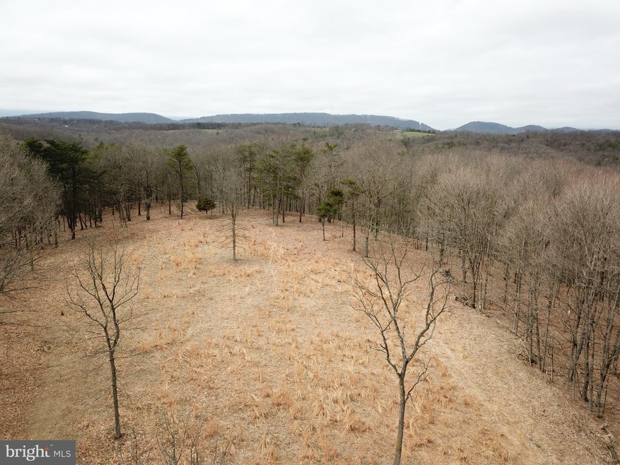 0 Push Root Rd unit WVMI111820, Burlington, WV 26710 - photo 1