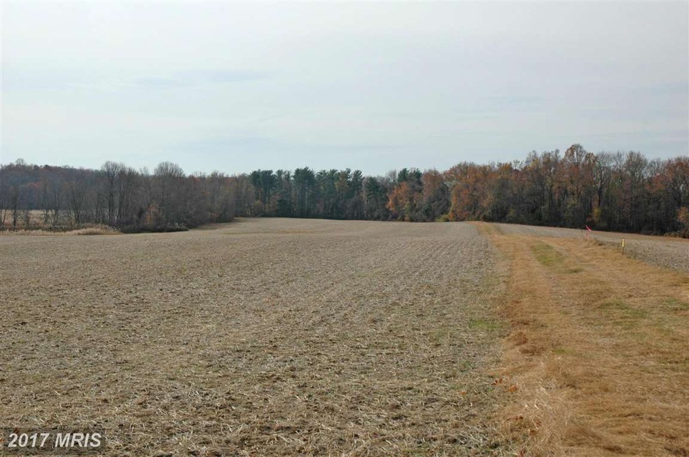 0 Pond Neck Rd unit 1001673633, Earleville, MD 21919 - photo 1