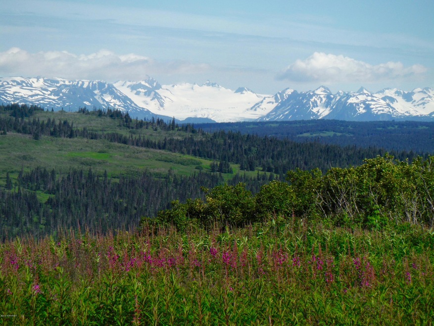 64965 Knob Hill Rd, Anchor Point, AK 99556 - photo 1