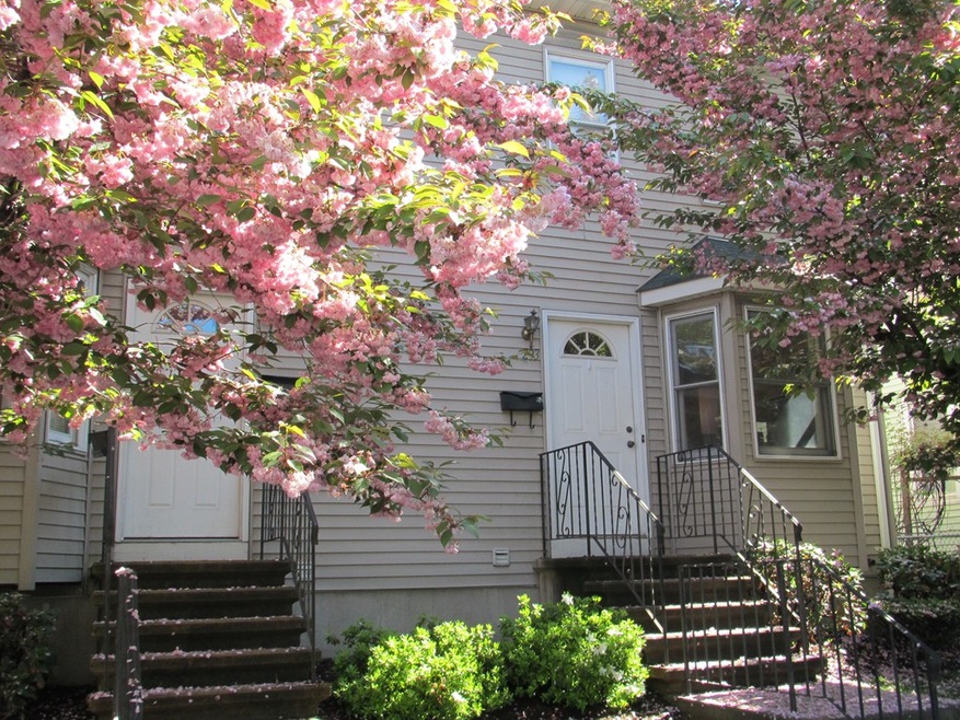 295 River St, Waltham, MA 02453 - photo 1