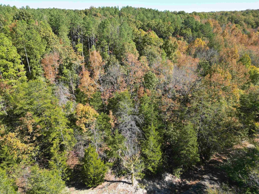 TRACT 6 Cherry Chapel Loop, Savannah, TN 38372 - photo 1