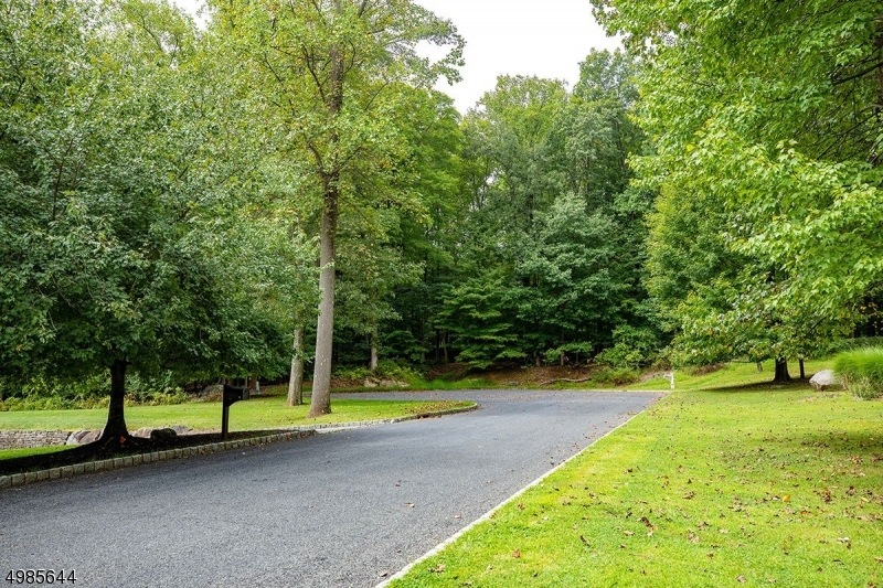 12 Michael Rd, Mendham, NJ 07945 - photo 1