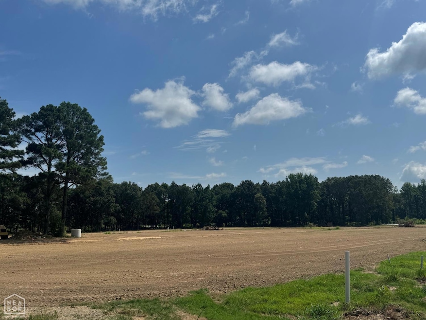 4 Horseshoe, Brookland, AR 72417 - photo 1