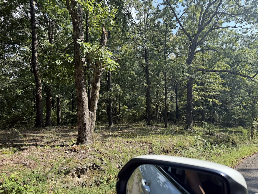 0 Waterview Dr, Dover, TN 37058 - photo 1