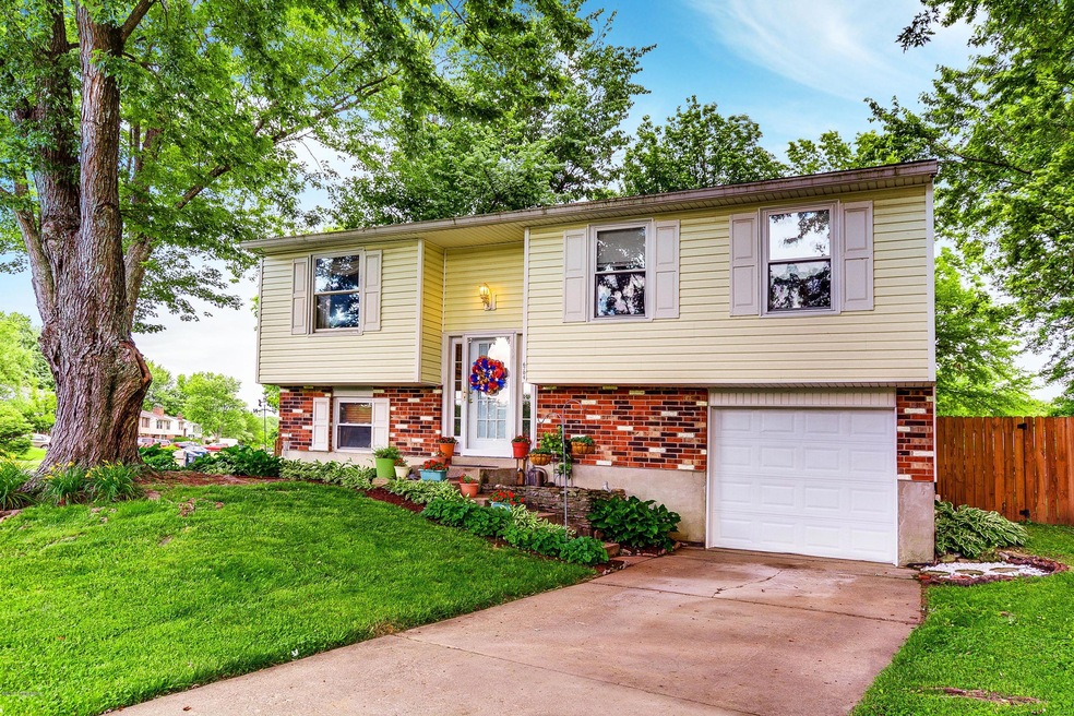 6704_Cub_Ct_40291__1000