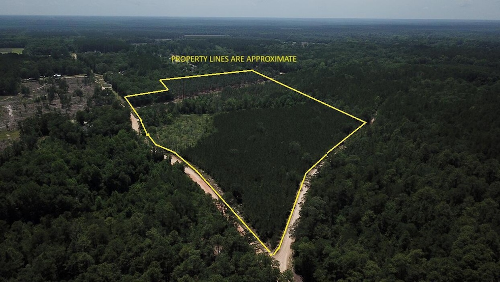 00 Stacey Bridge Rd, Orangeburg, SC 29118 - photo 1