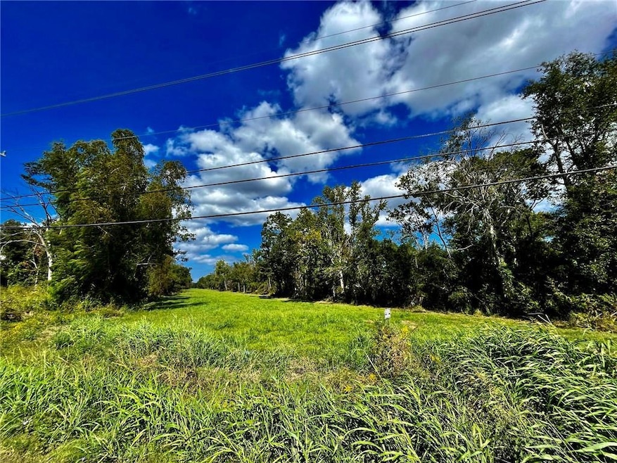 0 W Airline Hwy unit 2419719, La Place, LA 70068 - photo 1