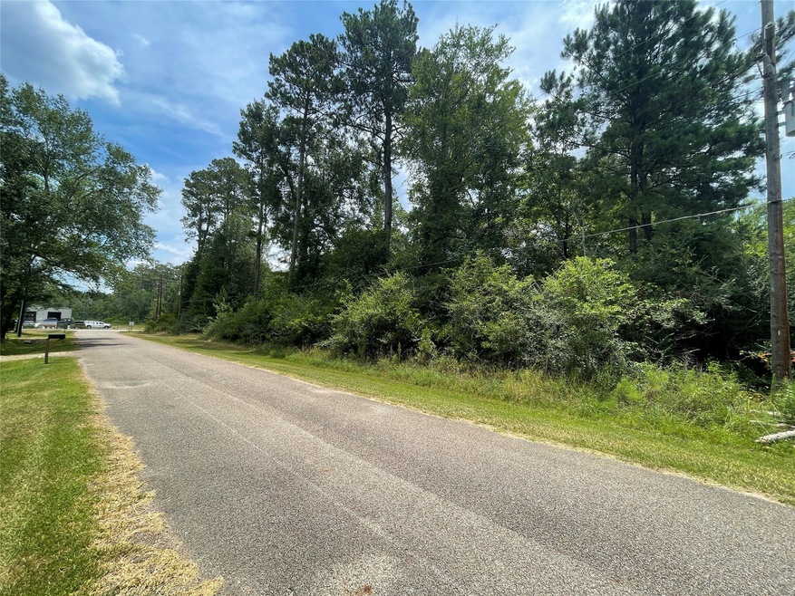 00 Roy Ln, Magnolia, TX 77354 - photo 1