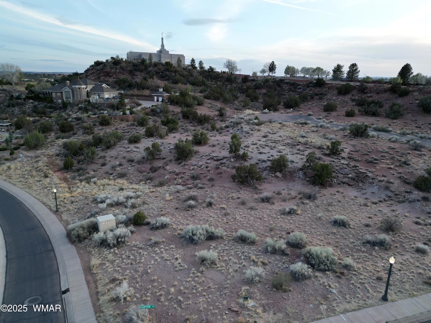 DJI_0776