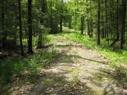 450 Glebe Rd, Westmoreland, NH 03467 - photo 1