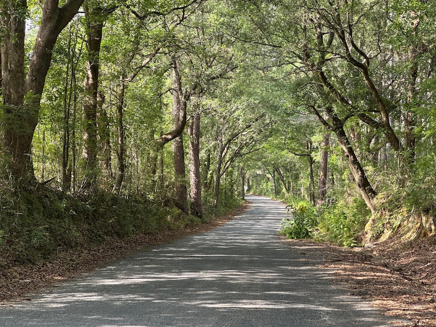 79+/- AC Old River Rd, Baker, FL 32531 - photo 1