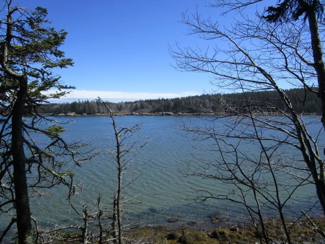 Haible photos SEal cove 014