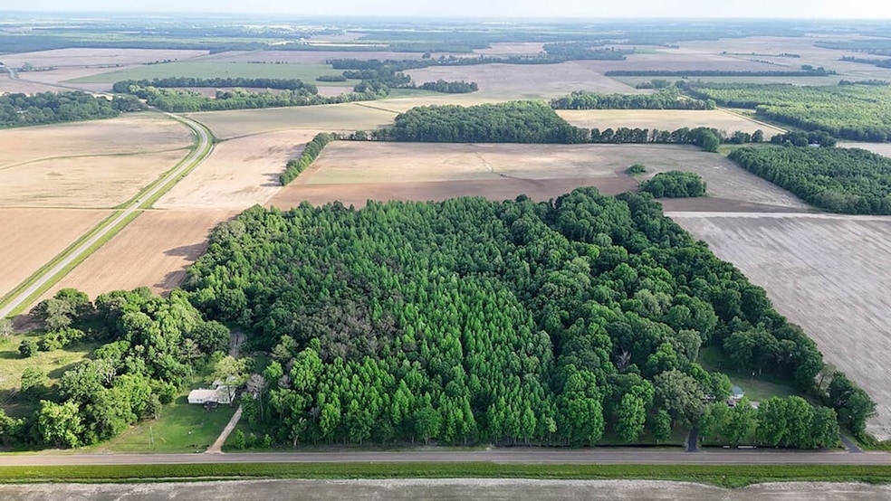 7245 Hood Rd, Marks, MS 38646 - photo 1