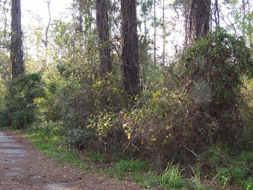 Lot to the right of driveway