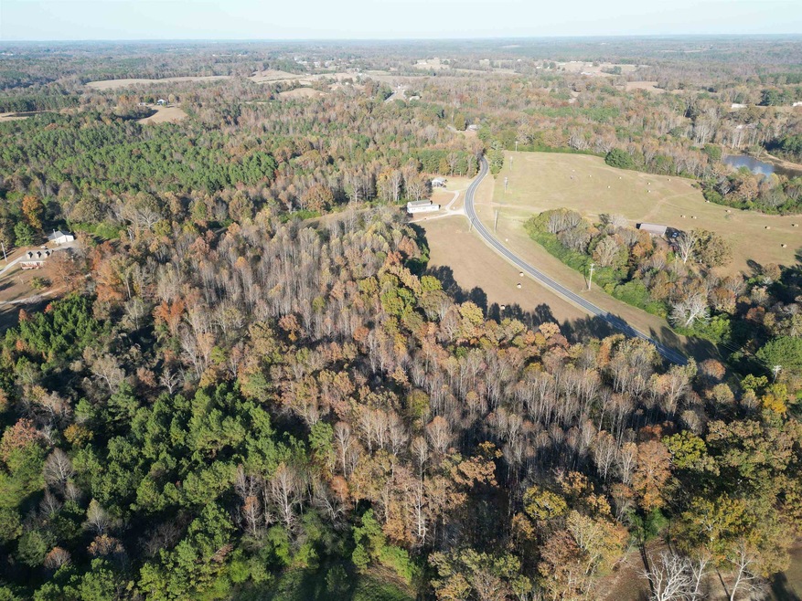 0 Helicon Rd unit 525873, Arley, AL 35541 - photo 1