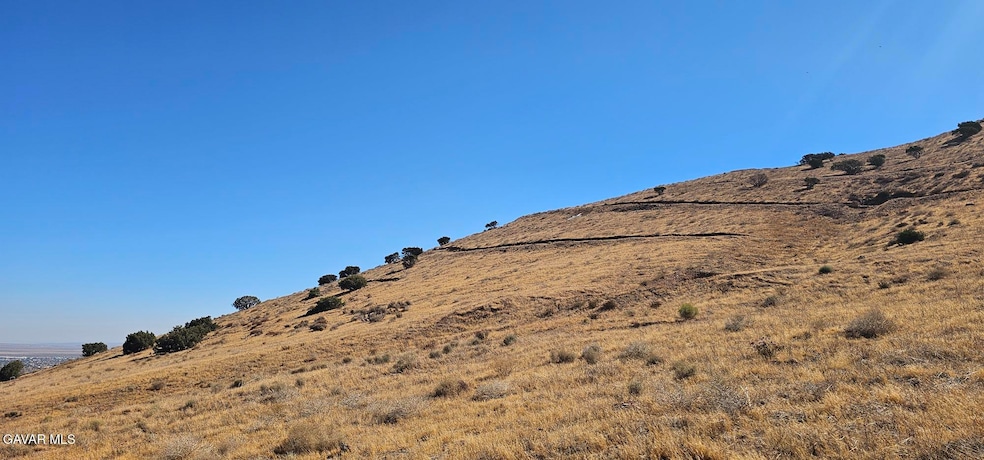 0 Vic Angeles Highway Oreo Ln, Palmdale, CA 93550 - photo 1
