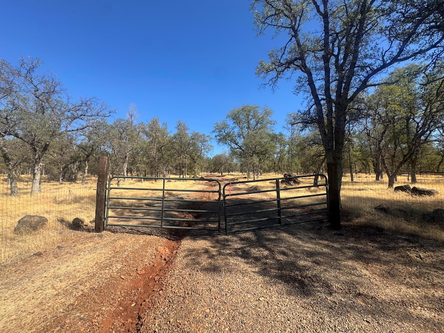 26612 Scharsch Rd, Shingletown, CA 96088 - photo 1