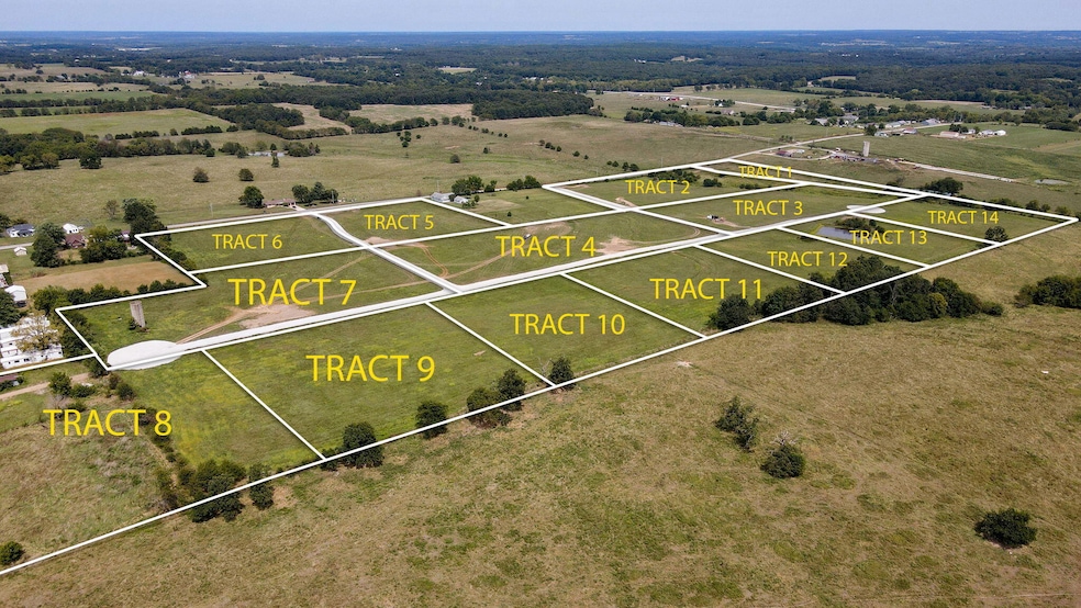 Tract #11 Highway Ee, Jackson Township, MO 65644 - photo 1