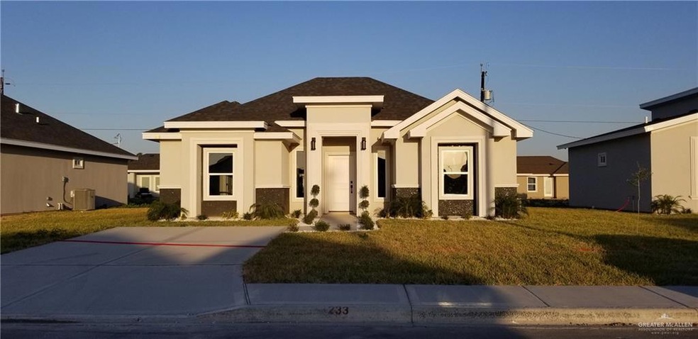 808 Blue Quail St, Alamo, TX 78516 - photo 1