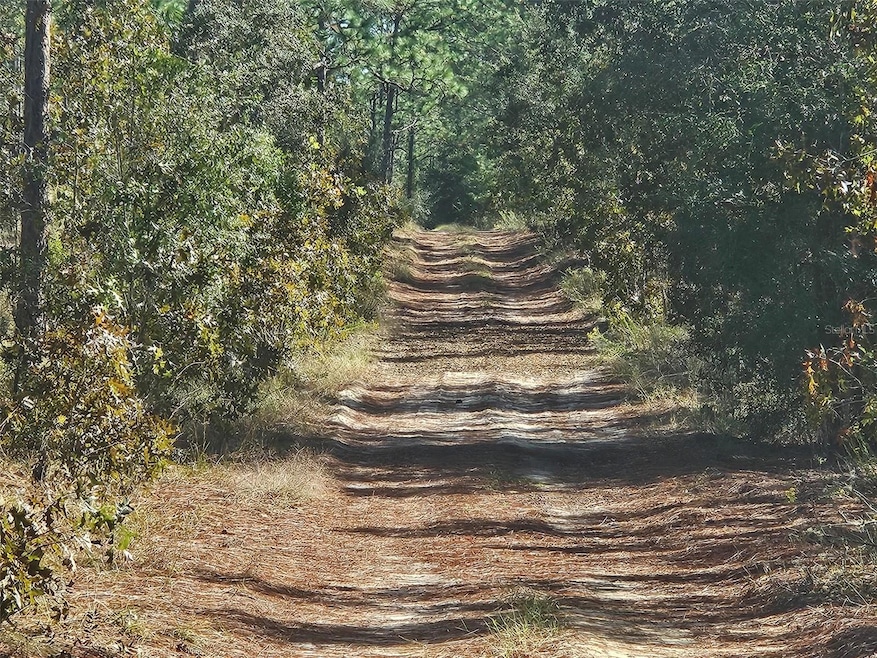 XXXX SW 92nd Place, Rainbow Springs, FL 34431 - photo 1