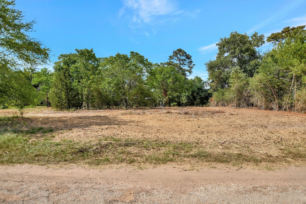 25254 River Run Rd, Hockley, TX 77447 - photo 1