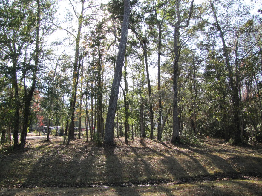 TidalWalk Homesite 401