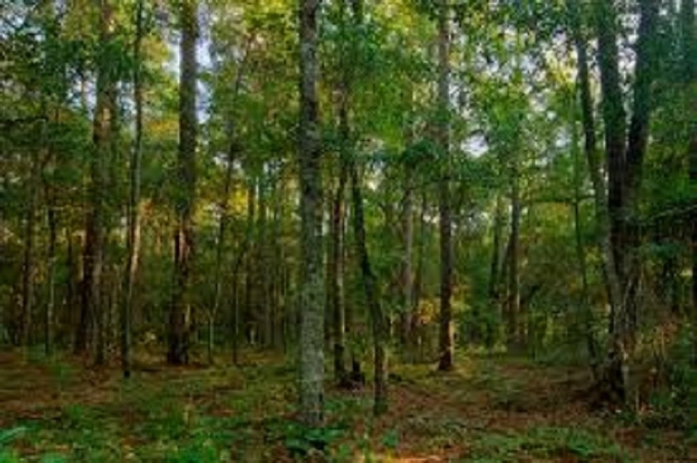 0 Route 103a unit 4691147, New London, NH 03257 - photo 1