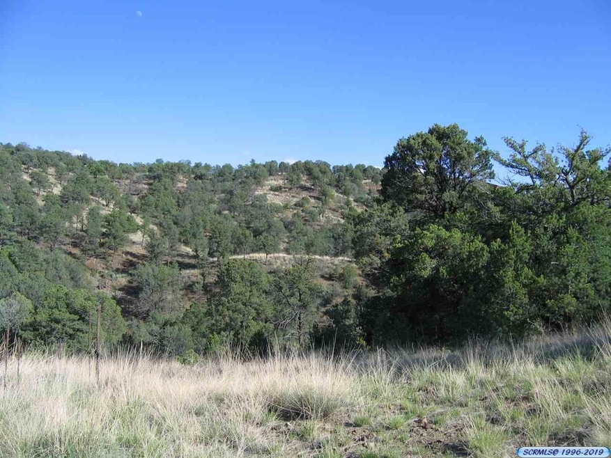 0 Little Walnut Rd, Silver City, NM 88061 - photo 1
