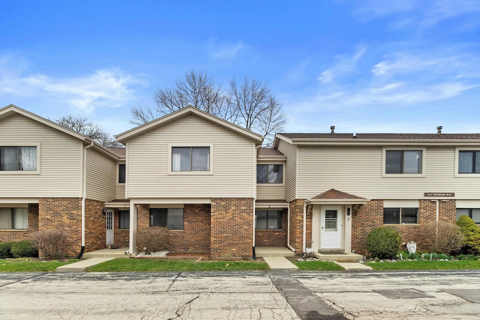 1447 Windsor Way 2