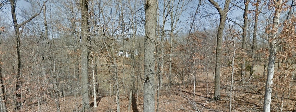 0 Chatburn Dr, Bella Vista, AR 72715 - photo 1