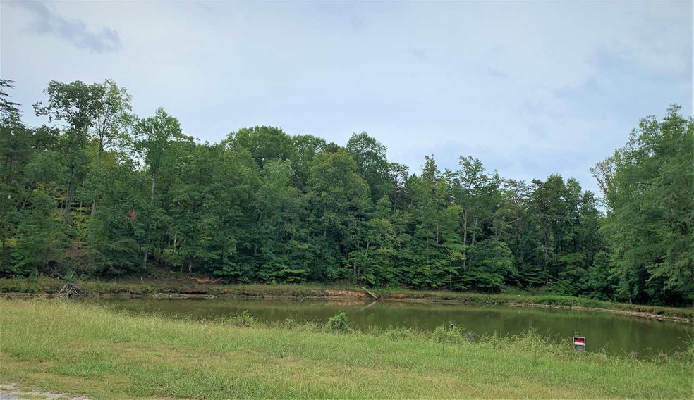 760 Bear Creek Rd, Blacksburg, SC 29702 - photo 1