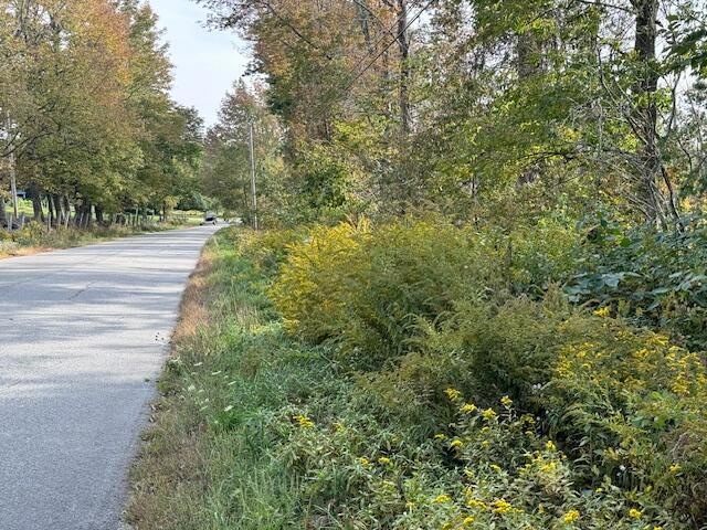 Lot 1 roadside