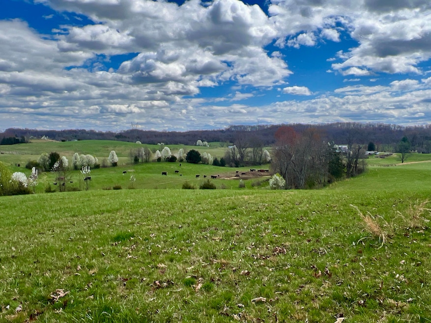 88/Ac Tbd Hwy 93, Fall Branch, TN 37656 - photo 1