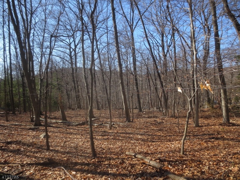 190 Burnt Meadow Rd, Ringwood, NJ 07456 - photo 1