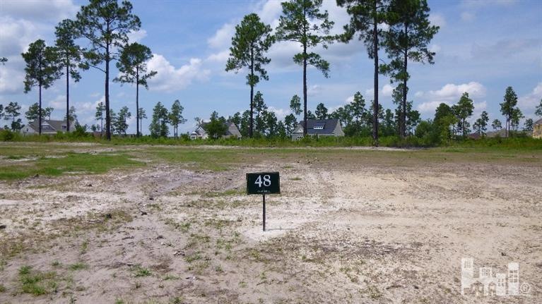 1253 Cross Water Cir, Leland, NC 28451 - photo 1