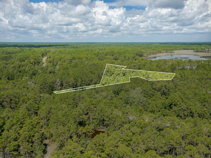 Lot 5 Kal Ln, Carrabelle, FL 32322 - photo 1