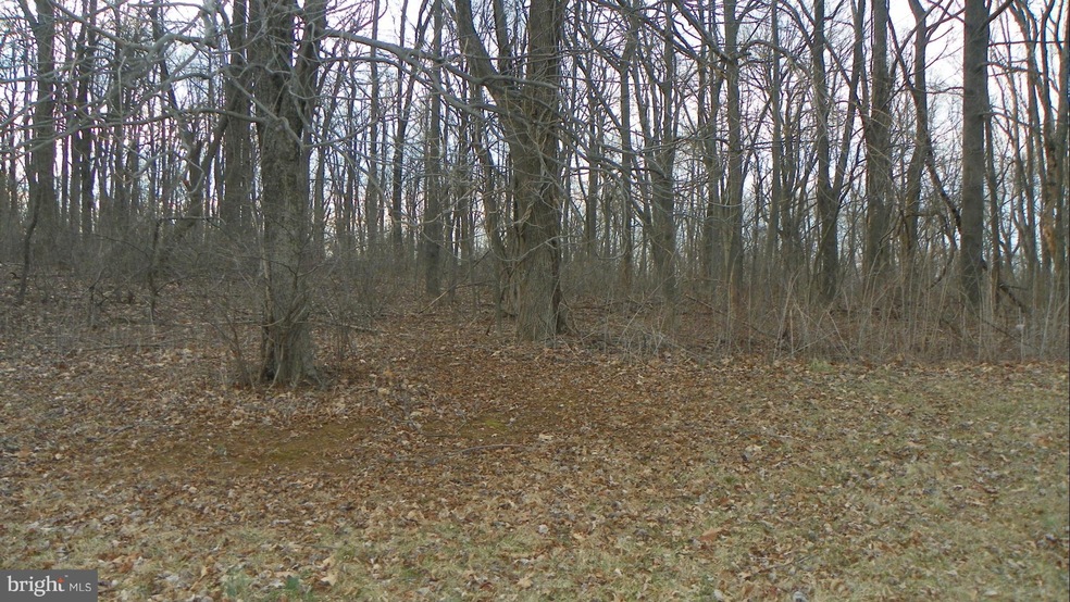 13 Axton Ln, Linden, VA 22642 - photo 1