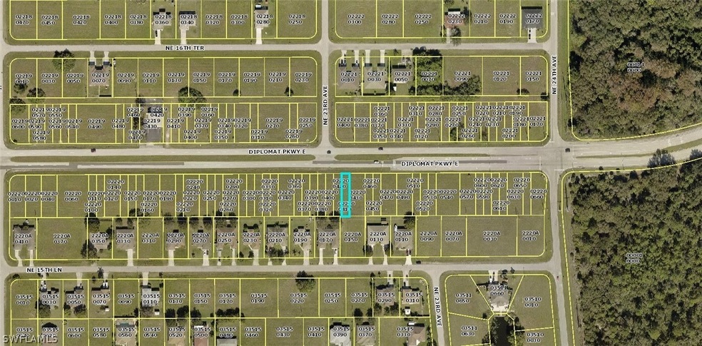 2306 Diplomat Pkwy E, Cape Coral, FL 33909 - photo 1