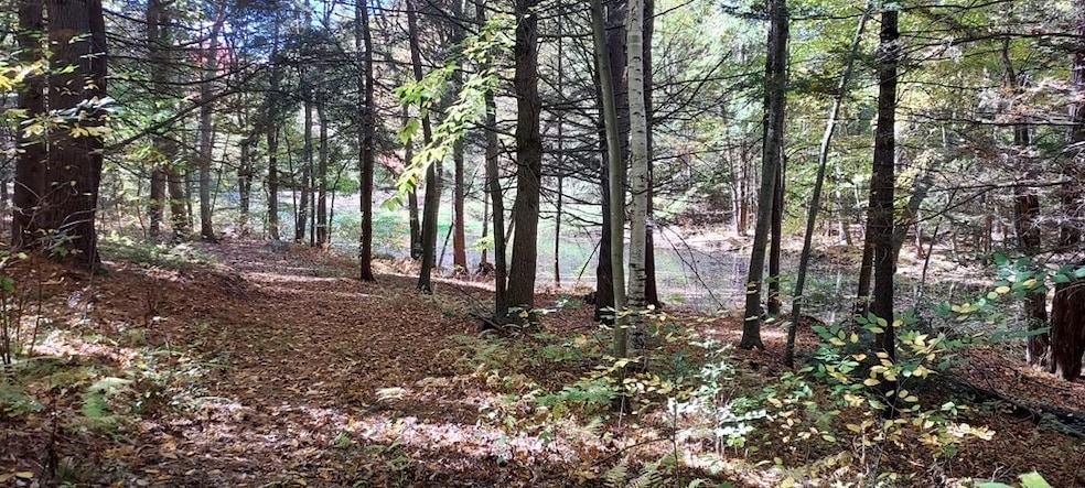 Lot-D Harkness Rd, Amherst, MA 01002 - photo 1