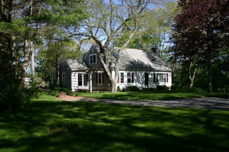 Primary Photo