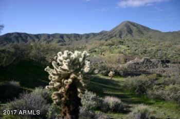 GREAT CUSTOM LOT