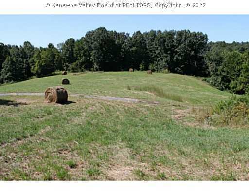 Land/Lot.