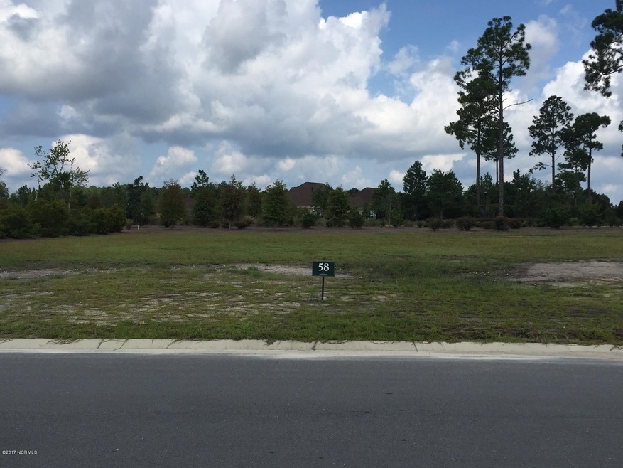 1424 Cross Water Cir, Leland, NC 28451 - photo 1