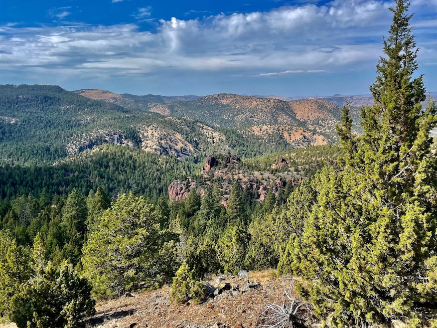 For Sale $18,000,000